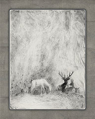 LET1387 - White Wonder   - 12x16