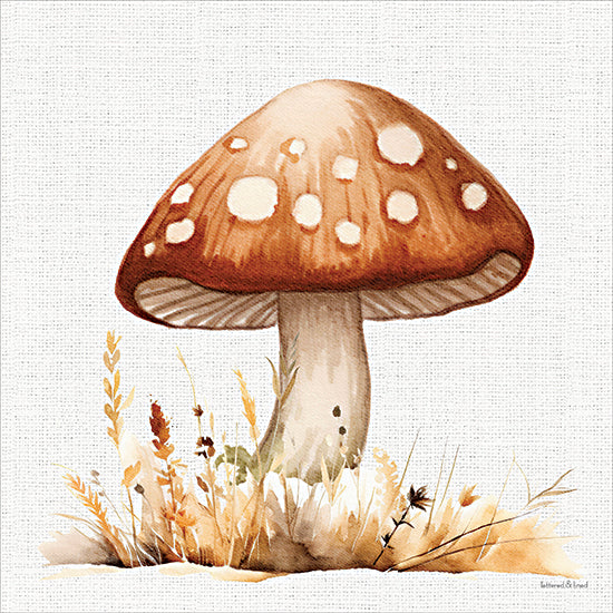 lettered & lined LET1615 - LET1615 - Toadstool Treasures 1 - 12x12 watercolor mushroom, brown toadstool, forest fungi, autumn grass, woodland botanical, rustic nature art, fall decor, hand painted illustration, neutral earth tones, cottagecore style, textured background, whimsical woodland from Penny Lane