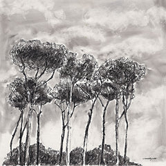 MAT237 - Sky Trees - 12x16