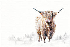 MAZ5921 - Winter Highland - 18x12