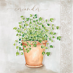 MOL2888 - Coriander - 12x12