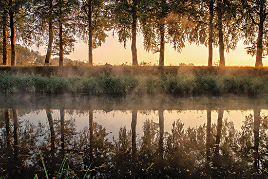 Martin Podt MPP1034 - MPP1034 - Tree Line Sunrise - 18x12 sunset landscape, tree reflections, riverbank, misty water, golden hour, peaceful scenery, photography nature from Penny Lane