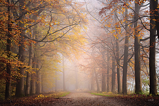 Martin Podt MPP1111 - MPP1111 - Fall Forest - 18x12 misty autumn path, forest trail, soft fog, golden fall leaves, woodland landscape photography, peaceful nature scene, tree lined path, atmospheric woods, seasonal countryside, serene outdoor image, glowing light, fine art photograph from Penny Lane