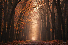MPP1112 - The Red Alley - 18x12
