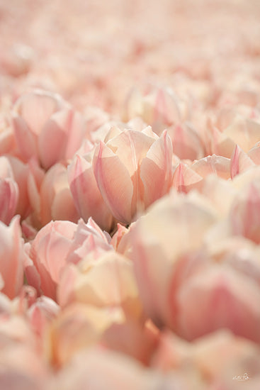 Martin Podt MPP1152 - MPP1152 - Pink Petals - 12x18 pink tulips, floral field, soft focus flowers, springtime bloom, gentle pastels, nature close-up, romantic garden scene from Penny Lane