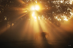 MPP1211 - Magic of the Morning - 18x12