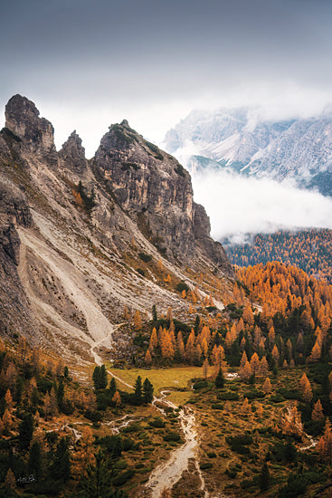 Martin Podt MPP1231 - MPP1231 - Above the Pines - 12x18 dramatic rocky mountains, alpine cliffs, autumn valley forest, misty mountain peaks from Penny Lane
