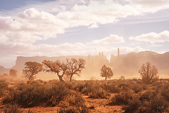 Martin Podt MPP1277 - MPP1277 - Sandstorm in Monument Valley - 18x12 desert valley with sparse trees, monument valley rock spires in distance, dusty sunlight haze, arid shrubs from Penny Lane