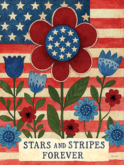 ND1046 - Stars and Stripes Forever - 12x16