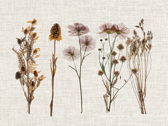 Nicole DeCamp ND643 - ND643 - Pressed Flowers For You IV - 16x12 pressed wild botanicals arrangement, rustic natural stems on textile background from Penny Lane