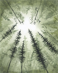 NOR355 - Morning Light - 12x16