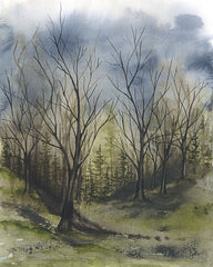 NOR356 - Fall Afternoon - 12x16