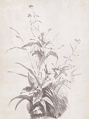 RAD1483 - Natural Lines - 12x18