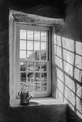 RLV758 - Afternoon D'Light - 12x18