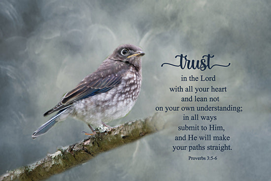 Robin-Lee Viera RLV774 - RLV774 - Trust in the Lord - 18x12 bluebird perched on branch, spiritual scripture, Proverbs 3:5-6, inspirational verse, green dreamy background, trust message, nature and faith combination from Penny Lane