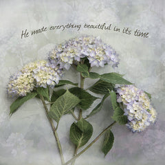 RLV783 - He Made Everything - 12x12