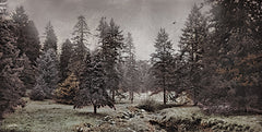 RLV810 - Conifer Meadow - 18x9