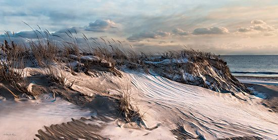 Robin-Lee Vieira RLV816 - RLV816 - Windswept - 18x9 windswept sand dunes, coastal grasses, beach ridge, ocean horizon, dramatic sky, seaside landscape, dune textures, seaside nature from Penny Lane