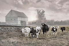 RLV829 - Misty Morning Moo - 18x12