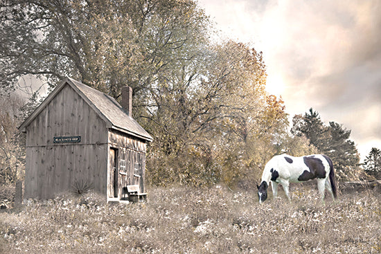 Robin-Lee Vieira RLV850 - RLV850 - Forgotten Fields - 18x12 cow grazing near blacksmith shop, rustic farmstead landscape, vintage rural scene from Penny Lane