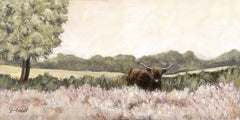 SAW176 - Highland in Summer - 18x9