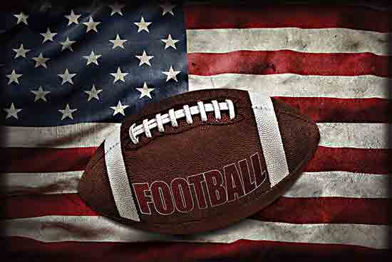 Susan Ball SB1410 - SB1410 - American Football - 18x12 american football on usa flag patriotic sports background from Penny Lane