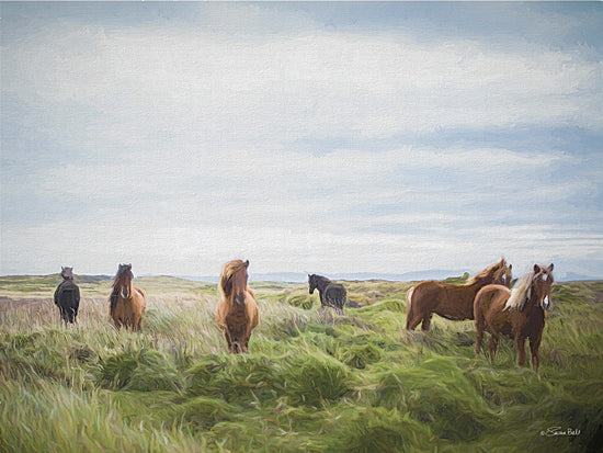 Susan Ball SB1427 - SB1427 - Free Spirit Horses - 16x12 horses in meadow, coastal pasture, wild horses, grassy field, overcast sky, rural landscape, equine art, windswept grass, country scene, natural grazing horses, soft painterly style, peaceful countryside, animal landscape, open pasture, serene farm-inspired decor from Penny Lane
