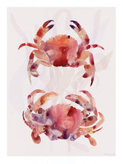 SDS1601 - Red Crab Duo - 12x16