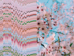 ST1191 - Petals in Parallel - 16x12