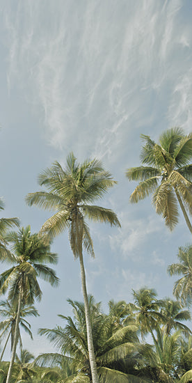Catch A Star Fine Art STAR142 - STAR142 - Magens Bay Palms II (Triptych II) - 9x18 seaside rocks, waves, sandy beach, granite shore, coastal seascape, vivid clouds, beach boulders, sea horizon from Penny Lane
