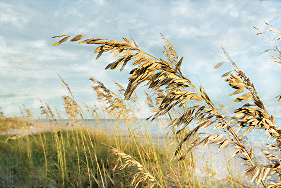 Catch A Star Fine Art STAR224 - STAR224 - Shoreline Through the Sea Oats - 18x12 autumn forest landscape, fall foliage, mountains, sunrise, scenic view from Penny Lane