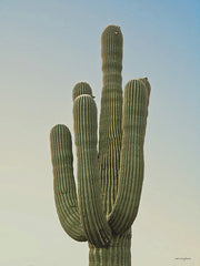 STAR263 - Sonoran Saguaro II - 12x16