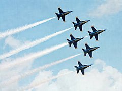 STAR296 - Aerial Alliance - 16x12