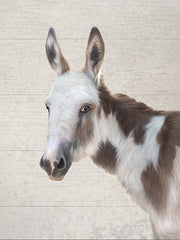STAR315 - Walter the Donkey - 12x16