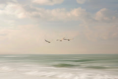 STAR359 - Early Morning Flight - 18x12