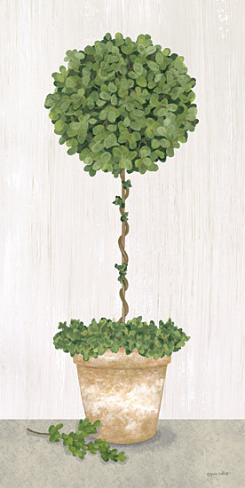 Annie LaPoint ALP2290 - ALP2290 - Boxwood Sphere Topiary - 9x18 Topiary, Boxwood Sphere Topiary, Greenery, Potted Topiary, Cottage/Country from Penny Lane