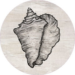 ALP2330RP - Conch Shell - 18x18