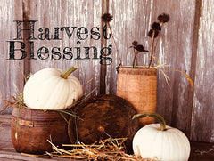 ANT149 - Harvest Blessings - 16x12