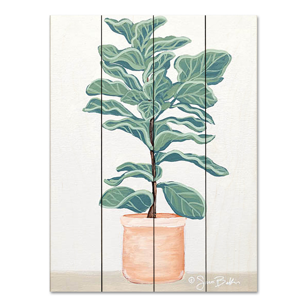 Sara Baker BAKE190PAL - BAKE190PAL - Fiddle Leaf Fig - 12x16 Potted Plant, Green Plant, Fiddle Leaf Fig, Greenery, Terracotta Pot from Penny Lane