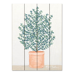 BAKE191PAL - Eucalyptus - 12x16