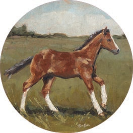 Sara Baker BAKE304RP - BAKE304RP - Little Filly - 18x18  from Penny Lane