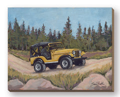 BAKE318FW - Sunshine on a Backroad - 20x16