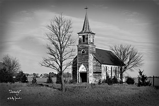 Billy Jacobs BJ1279 - BJ1279 - Serenity - 18x12 Church, Religious, Photography, Black & White, Farmhouse/Country, Landscape from Penny Lane