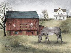 BJ135 - Old Grey Mare - 16x12