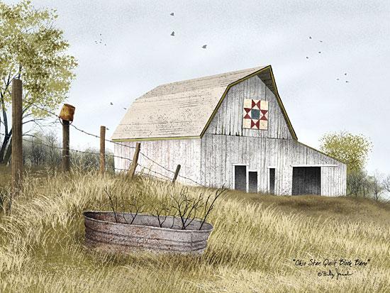 Billy Jacobs BJ455 - Ohio Star Quilt Block Barn - Ohio Star, Quilt, Barn, Bucket, Farm from Penny Lane Publishing