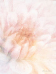 BLUE307 - Soft Dahlia Pastel Peach - 12x16