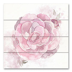 BLUE533PAL - Cottage Peony II - 12x12