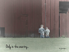 BOY170 - Only in the Country - 16x12
