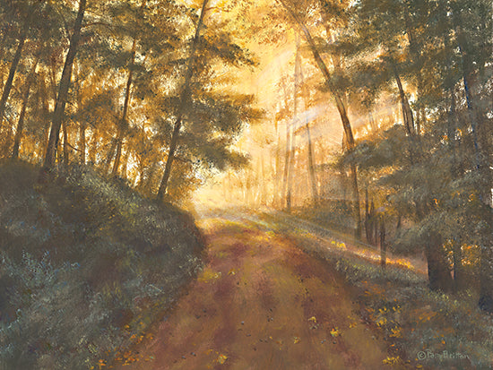 Pam Britton BR553 - BR553 - Golden Forest - 16x12 Road, Path, Country Road, Trees, Sunlight, Nature, Landscape from Penny Lane