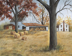 BR617 - Last Hay Harvest - 16x12
